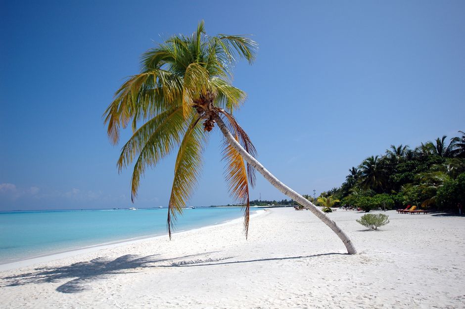 Amazing Tropical Destinations for Your Next Travel Escape
