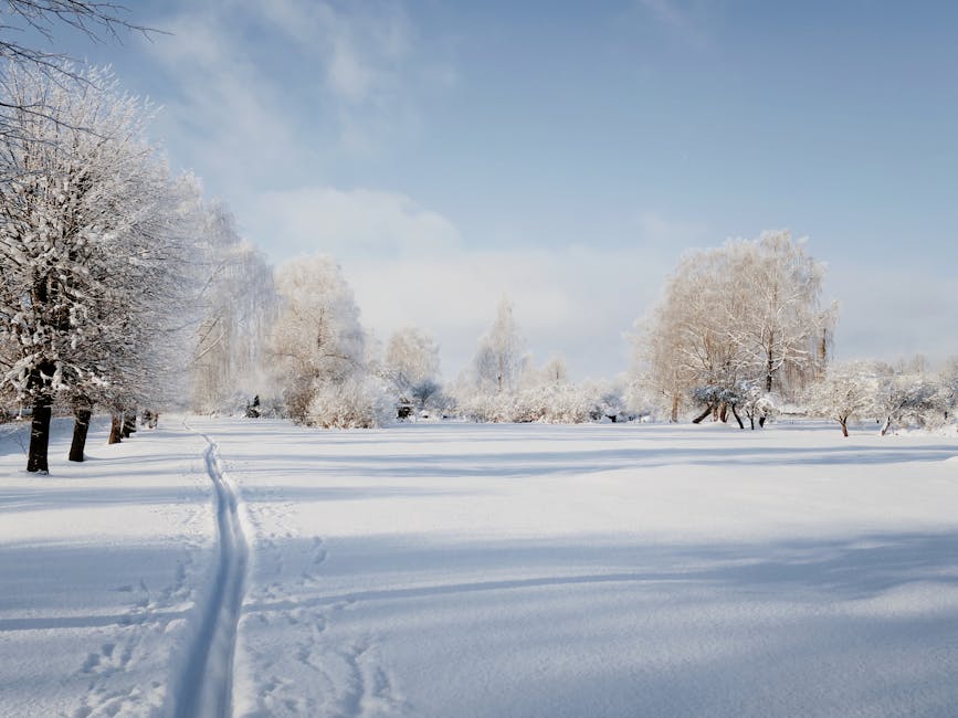 Beautiful Travel Destinations Perfect for Every Season of the Year