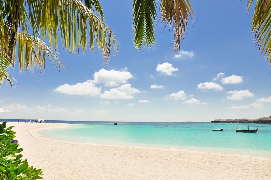 Discover Amazing Destinations Perfect for Your Next Vacation