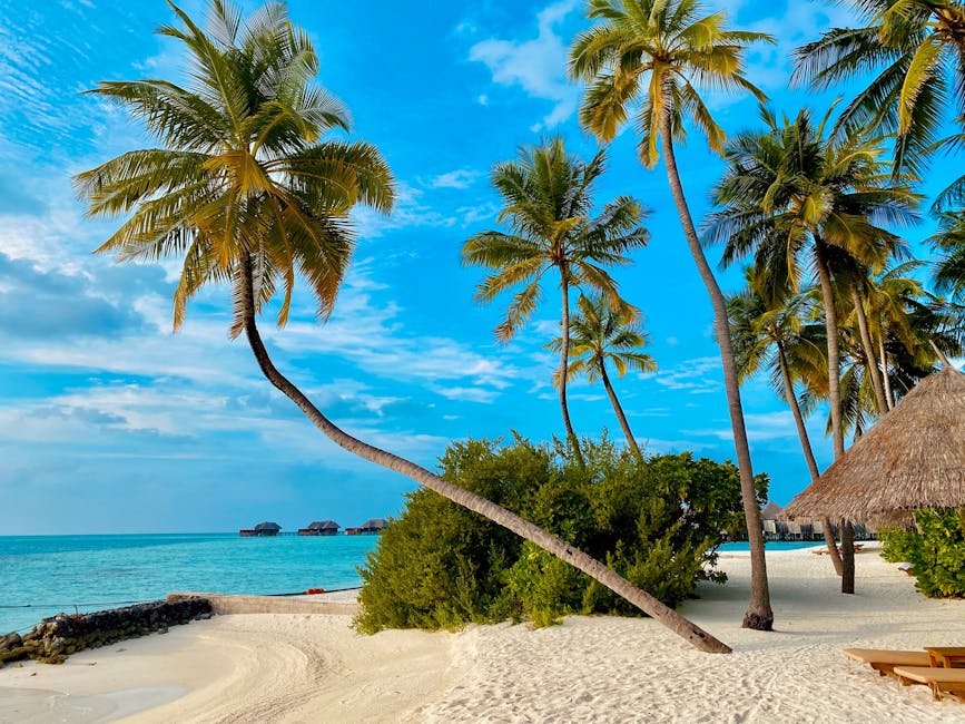 Discover Amazing Destinations Perfect for Your Next Vacation featured