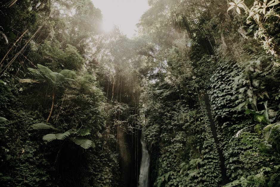 Discover Hidden Corners of the World Filled With Natural Beauty
