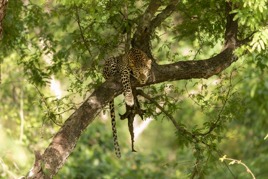 Discover Incredible Wildlife Adventures Across the Globe