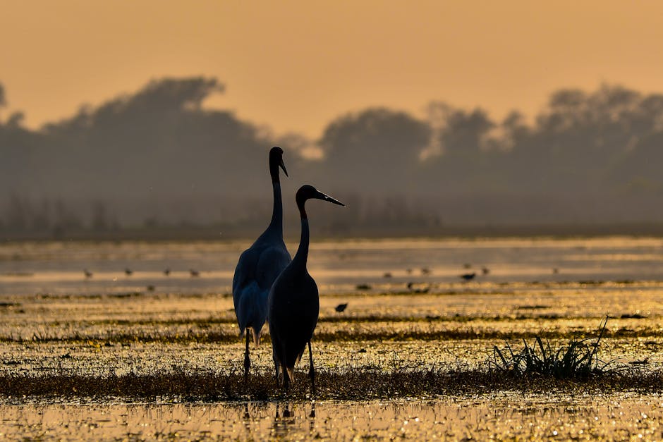 The Most Scenic Travel Destinations for Nature Photography
