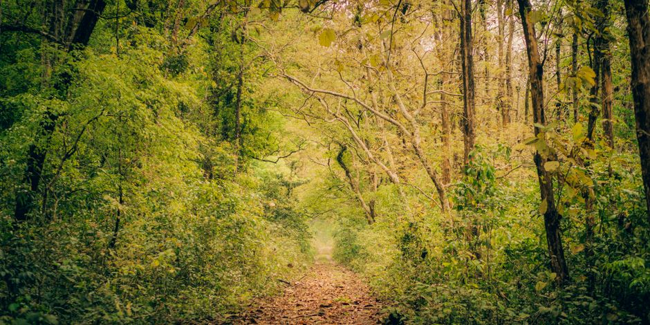 The Most Scenic Travel Destinations for Nature Photography