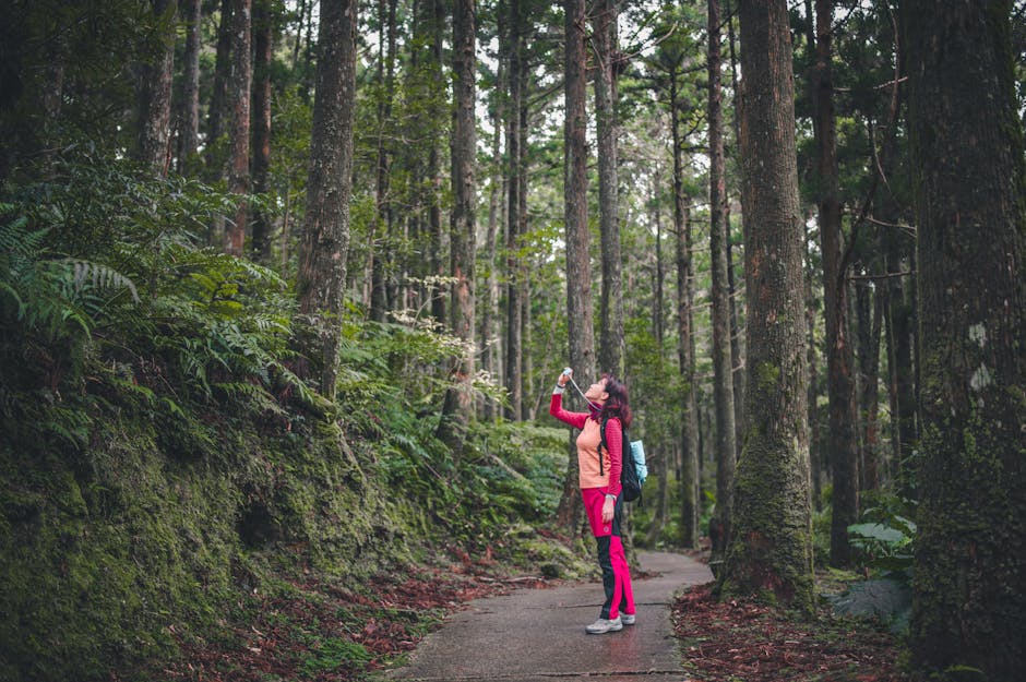 Travel Destinations Perfect for Photography and Nature Lovers